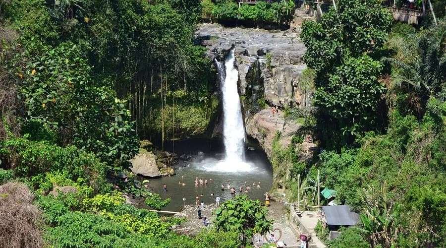 Ubud Waterfall & Jungle Swing Adventure