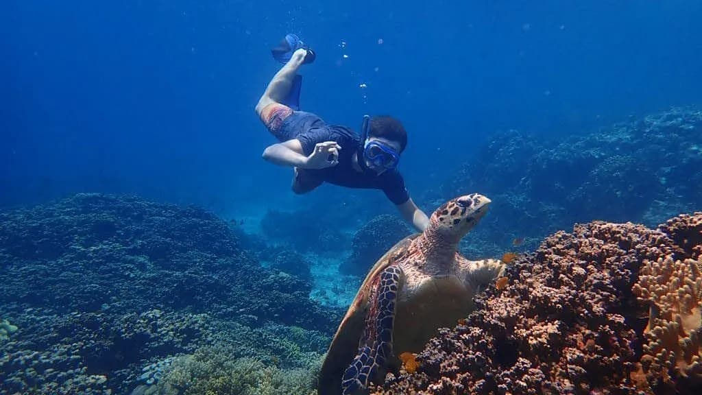 Menjangan Island Snorkeling - West Bali National Park