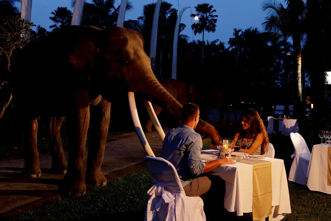 Bali Night Safari & Firefly Tour  - Image 4