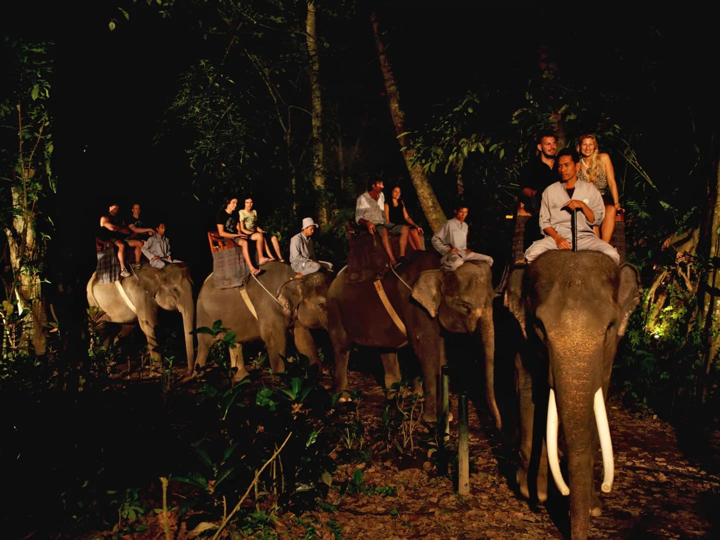 Bali Night Safari & Firefly Tour  - Image 3