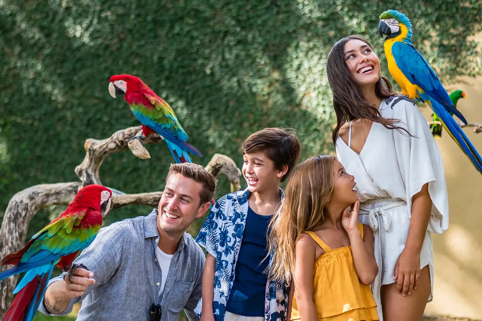 Bali Bird Park - Exotic Birds & Wildlife 