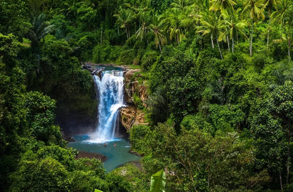 Ubud Waterfall & Jungle Swing Adventure - Image 3