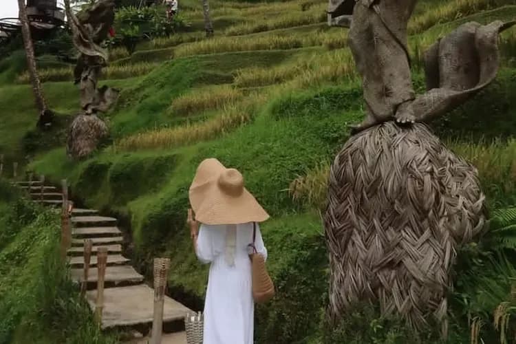 Tegalalang Rice Terrace & Coffee Plantation Tour - Image 5