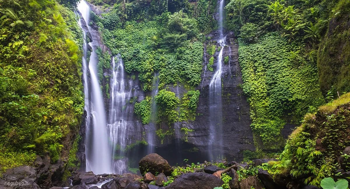 Sekumpul & Fiji Waterfall Trek - Bali's Most Beautiful Waterfall - Image 2
