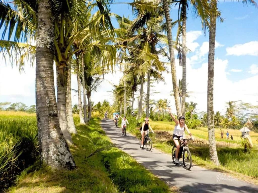 Ubud Cycling Tour Through Villages & Rice Fields - Image 5
