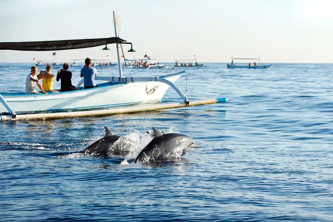 Lovina Dolphin Watching & Snorkeling Tour
