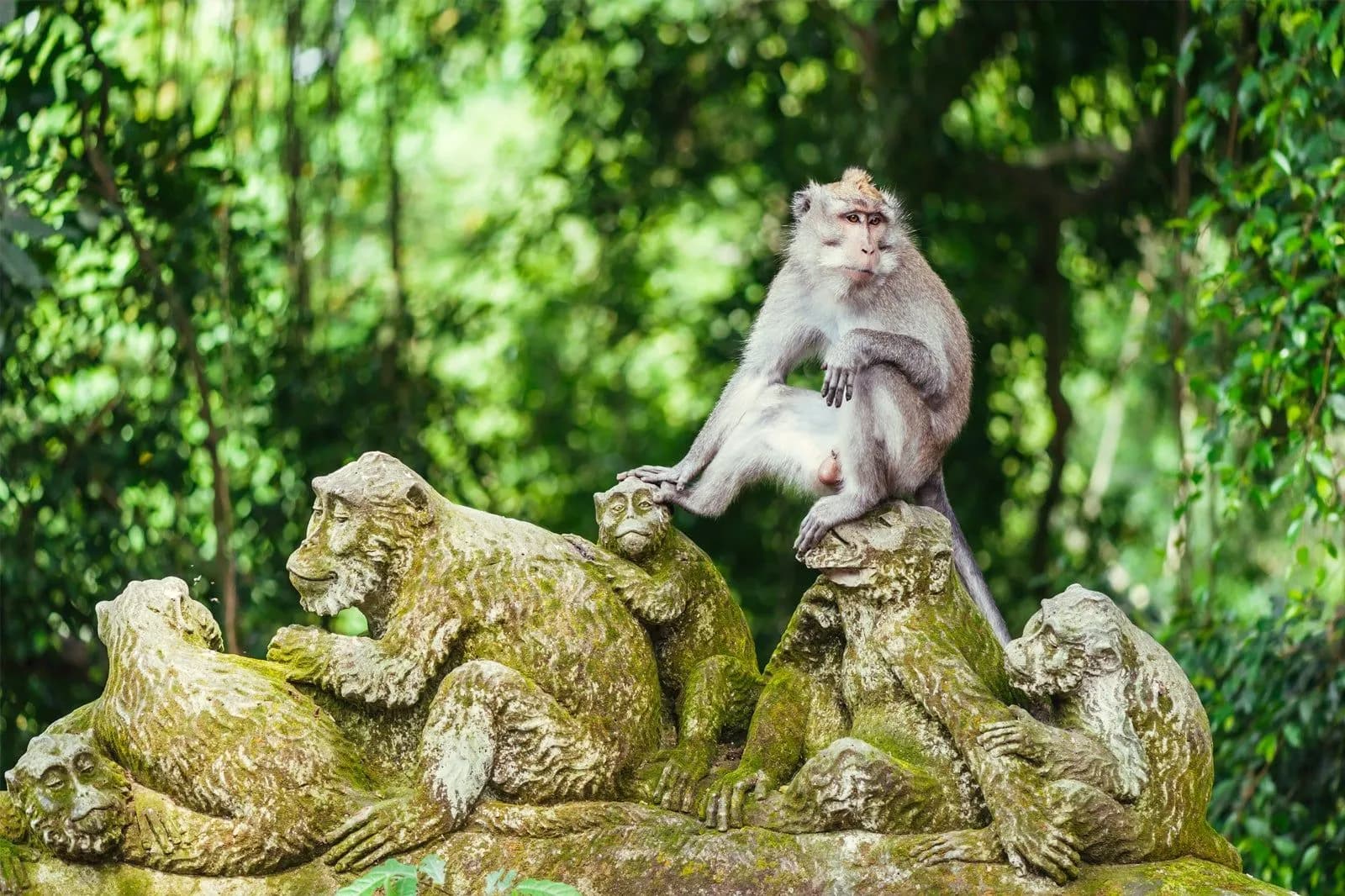 3-Day Bali Highlights Package - Best of Bali - Image 3