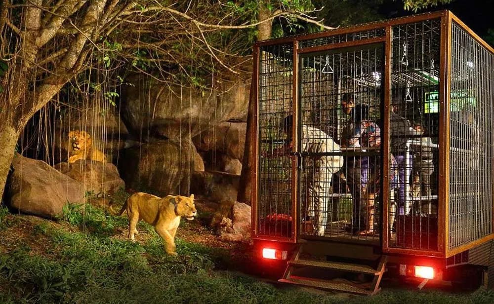 Bali Safari & Marine Park - Wildlife Adventure - Image 3