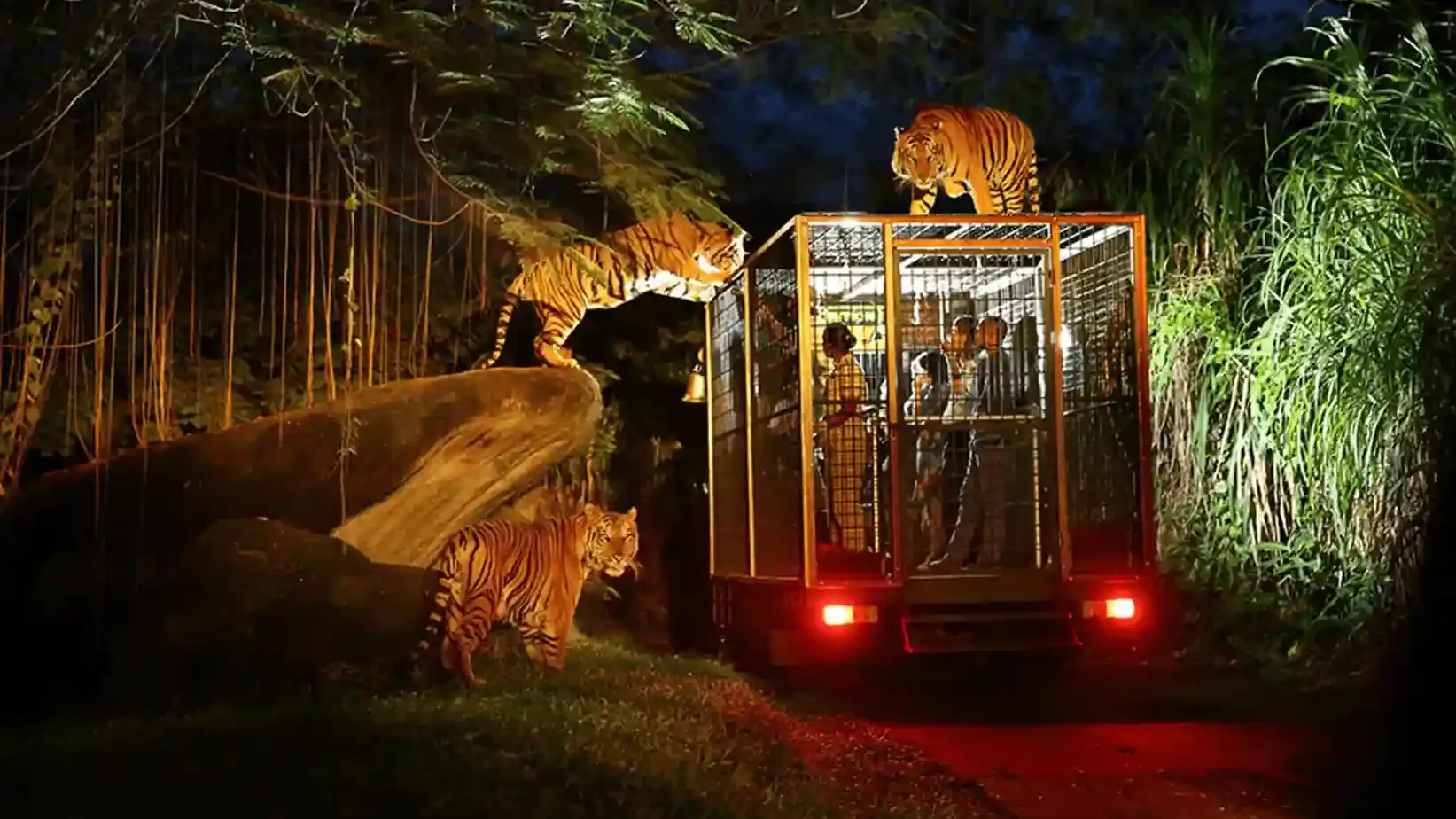 Bali Safari & Marine Park - Wildlife Adventure - Image 2