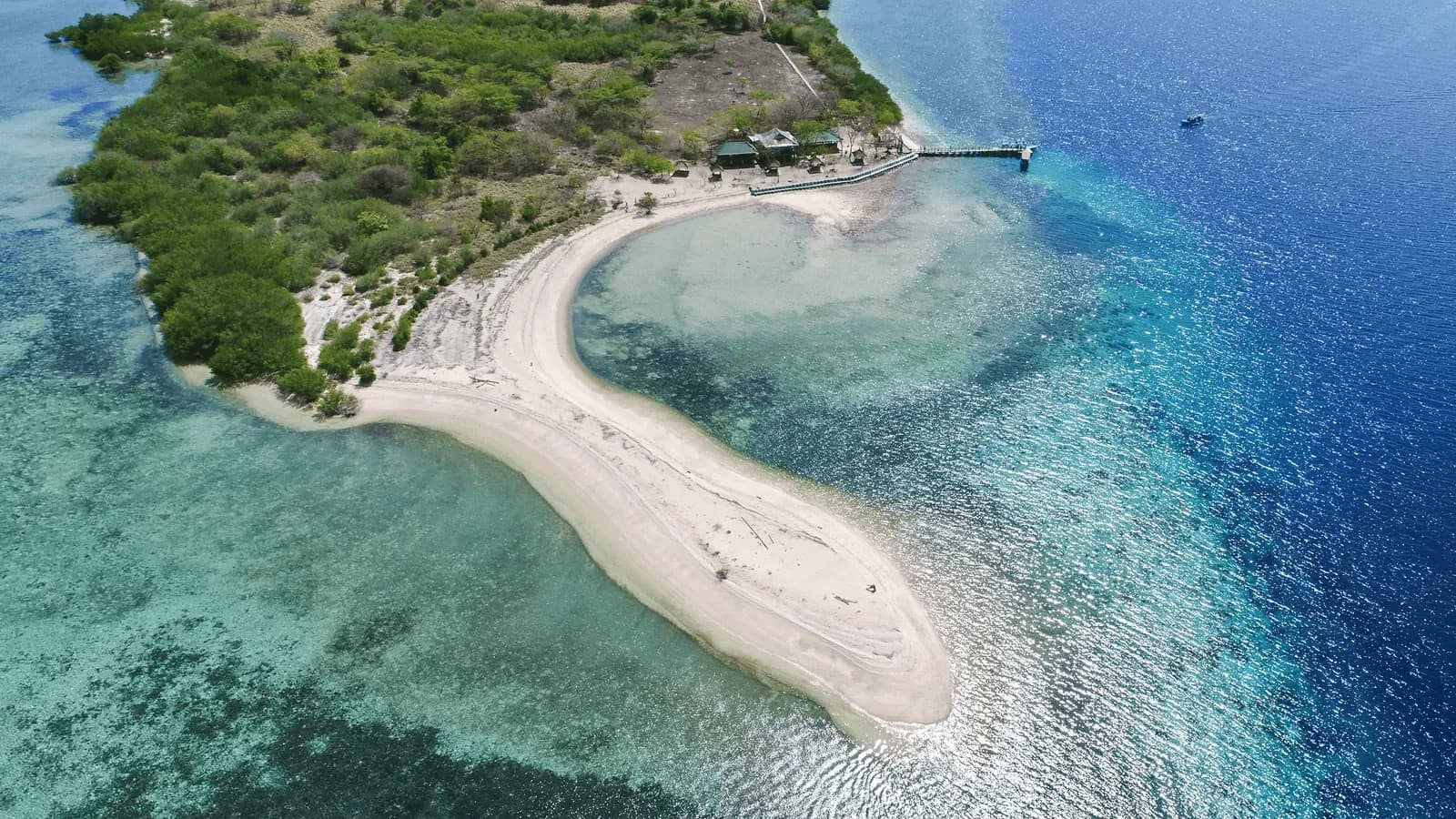 Menjangan Island Snorkeling - West Bali National Park - Image 5