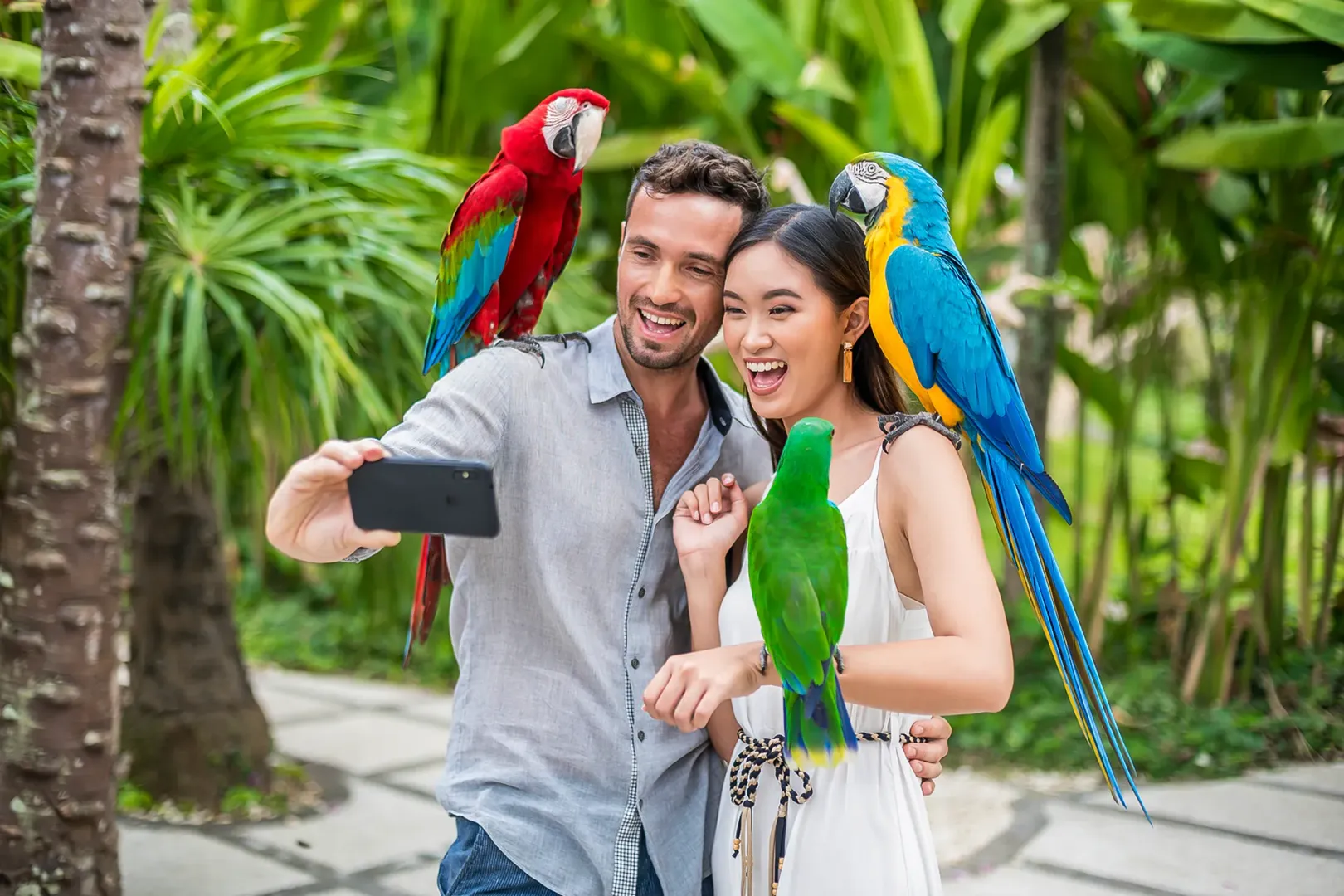 Bali Bird Park - Exotic Birds & Wildlife - Image 5