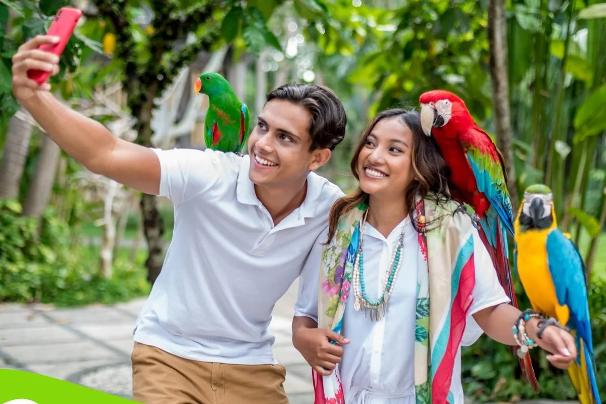 Bali Bird Park - Exotic Birds & Wildlife - Image 3