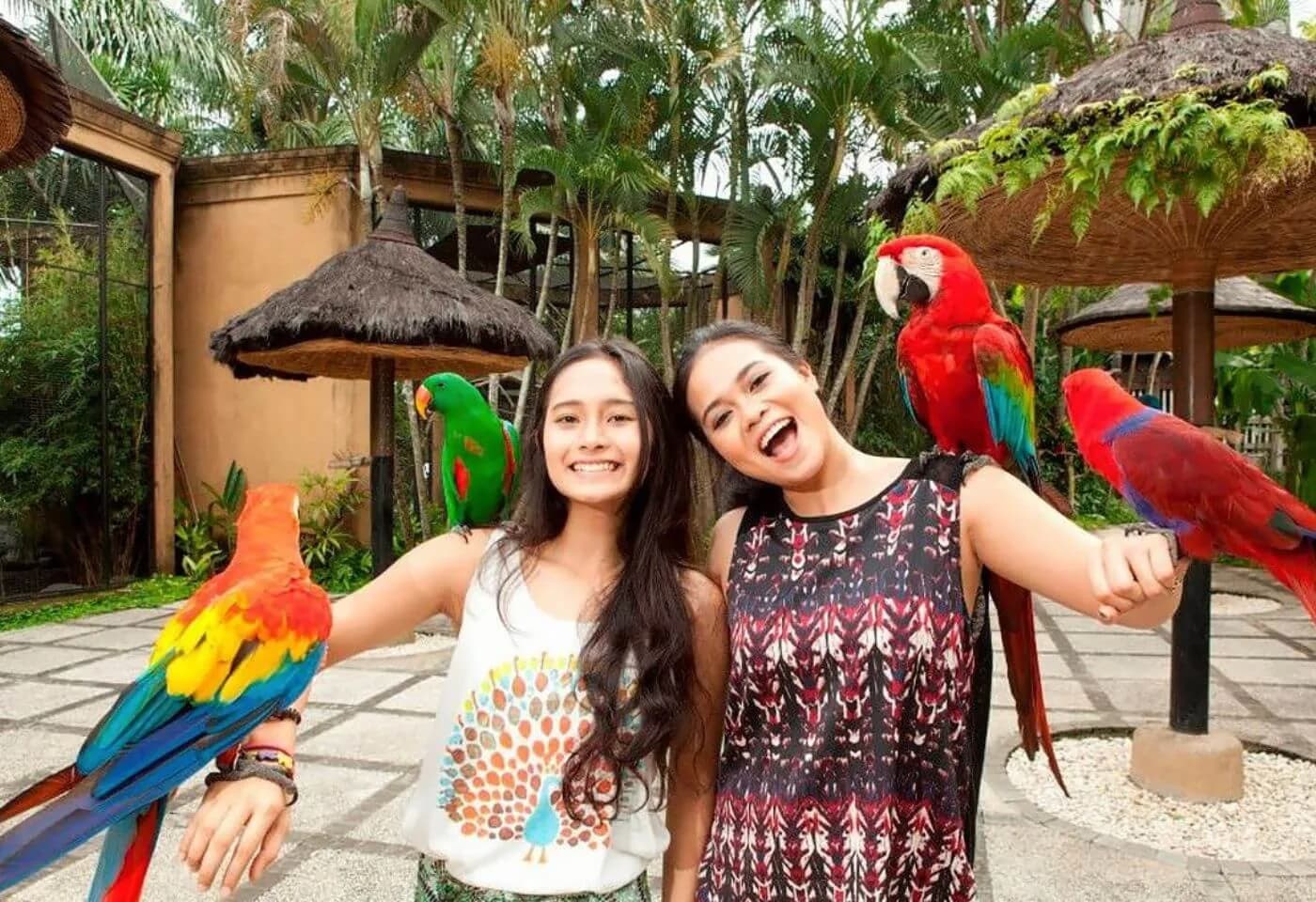 6-Day Family Fun Bali Package - Image 3